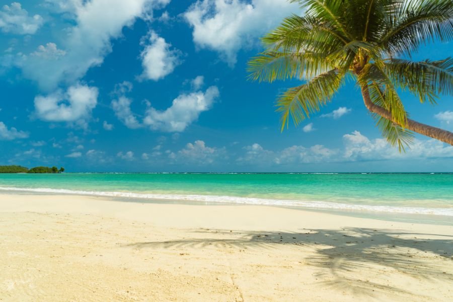 How to Travel from Koh Lipe to Koh Samui: Routes, Tips, and Costs