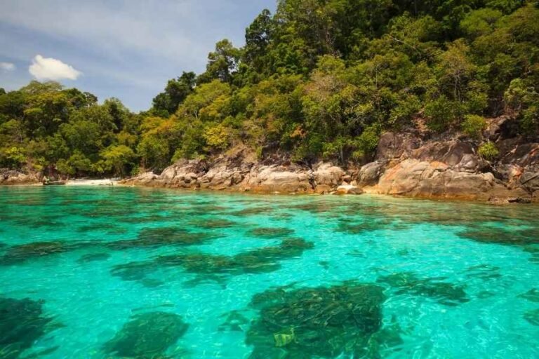 Best Snorkeling Spots on Koh Lipe