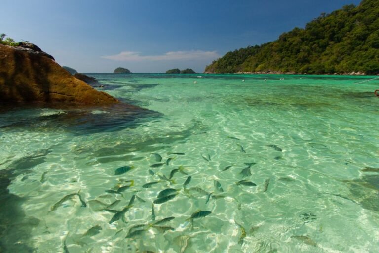 Comparing Prices: High Season vs. Low Season Travel from Hat Yai to Koh Lipe