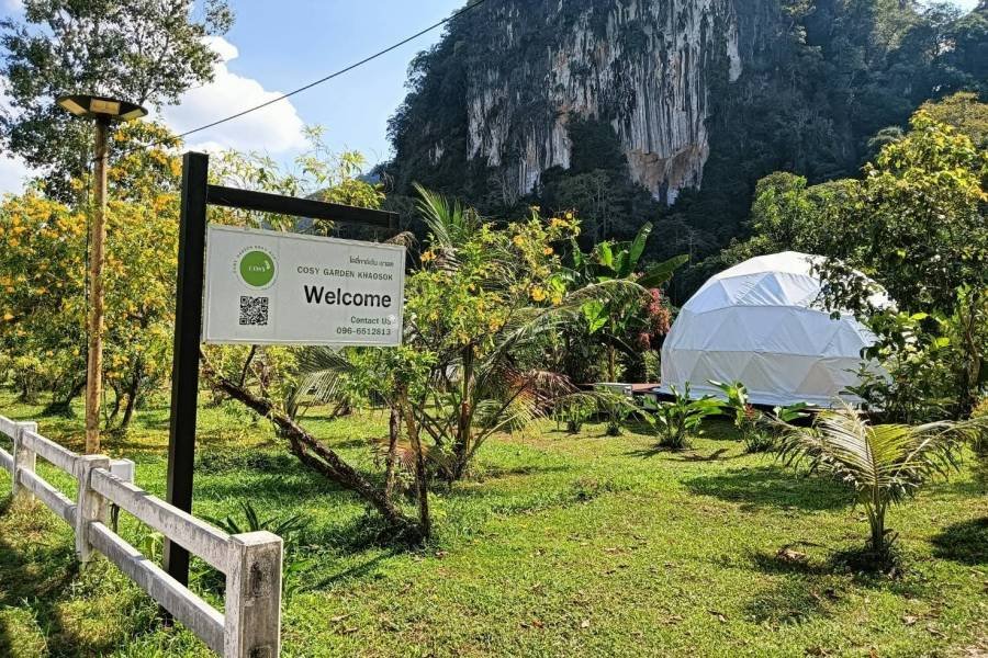 Real Traveler Stories: Journeying from Koh Lipe to Khao Sok National Park
