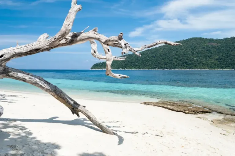Transportation Schedule Updates for the Hat Yai to Koh Lipe Route